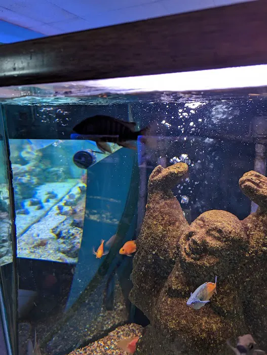 Monfort Aquarium & Pet Picture 3