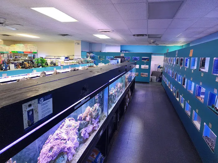 Monfort Aquarium & Pet Picture 8
