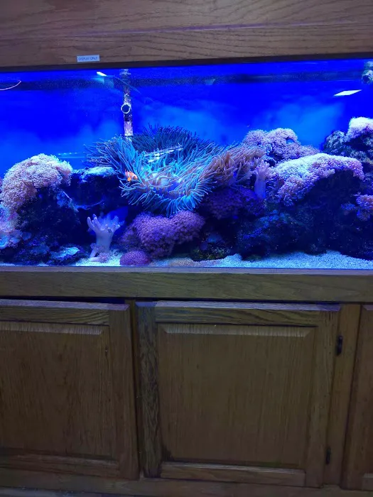 Monfort Aquarium & Pet Picture 7
