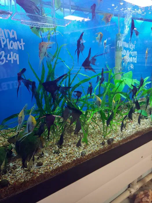 Monfort Aquarium & Pet Picture 5