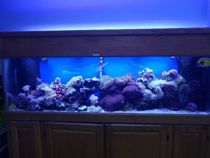 Monfort Aquarium & Pet Picture 9