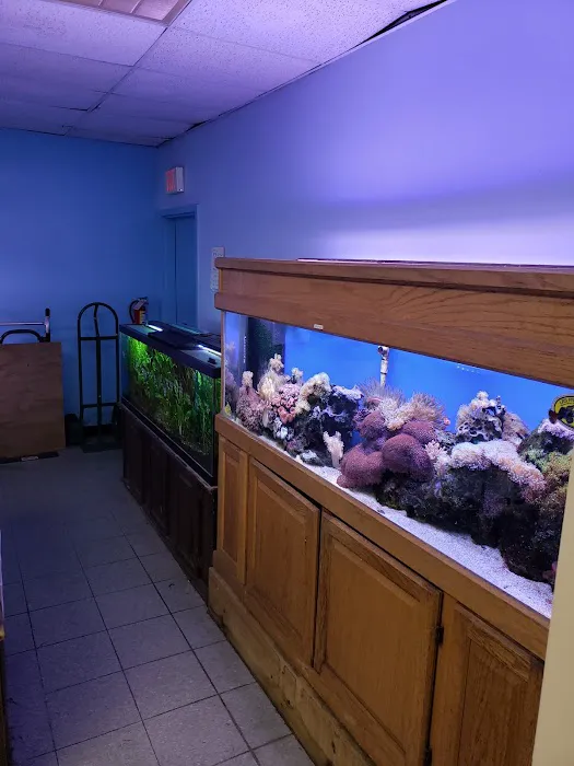 Monfort Aquarium & Pet Picture 4