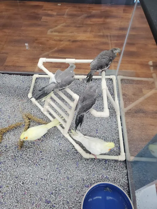 Petland Richmond Picture 8