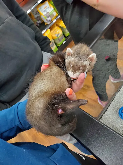 Petland Richmond Picture 4