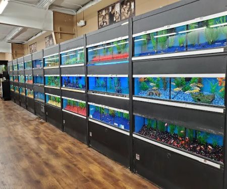 Petland Richmond