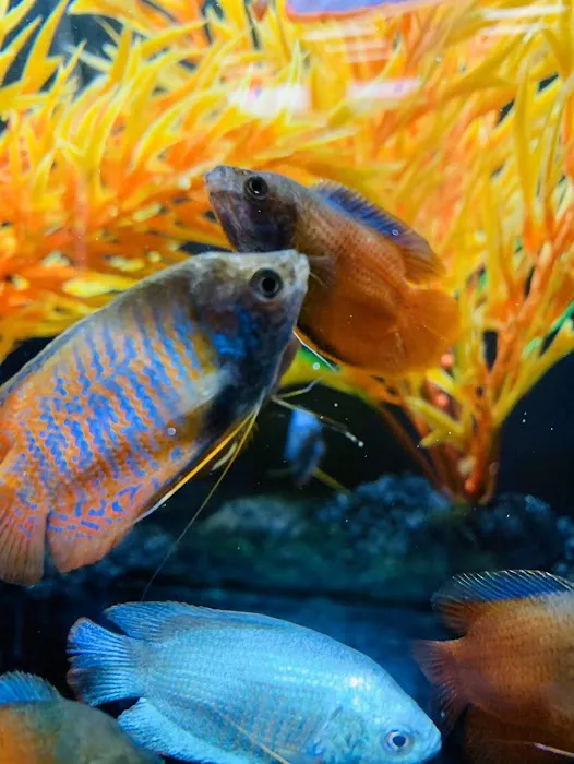 Petland Richmond Picture 6