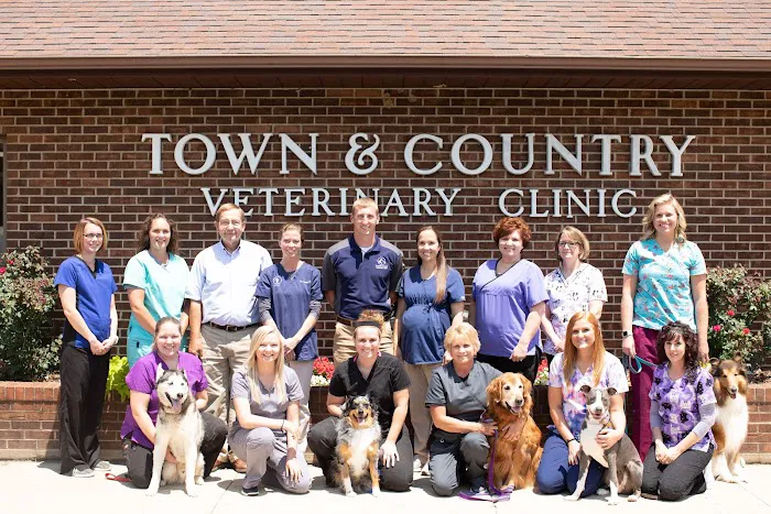 Town and Country Veterinary Clinic Picture 5