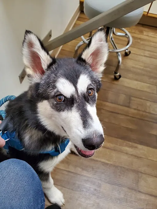 Creature Comforts Veterinary Picture 9