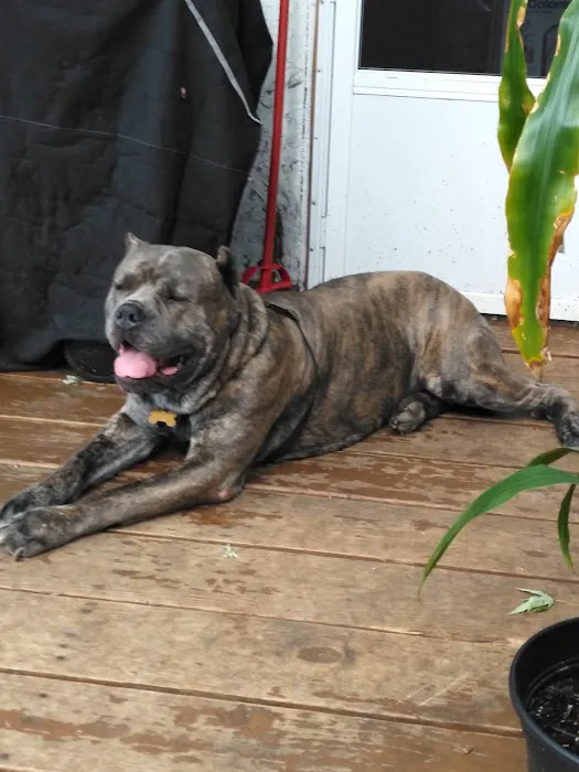 Creature Comforts Veterinary Picture 3