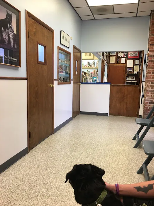 Lodder's Plaza Animal Clinic Picture 1