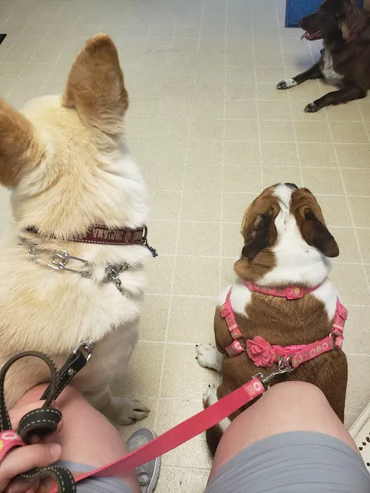 West Side Animal Clinic Picture 6