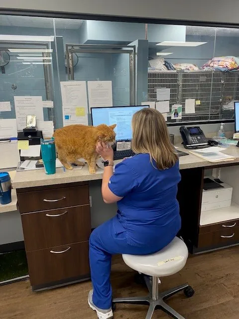 West Side Animal Clinic Picture 7