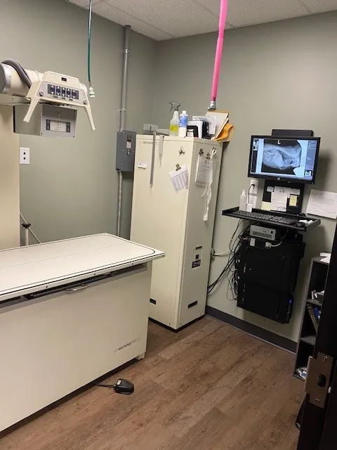 West Side Animal Clinic Picture 9