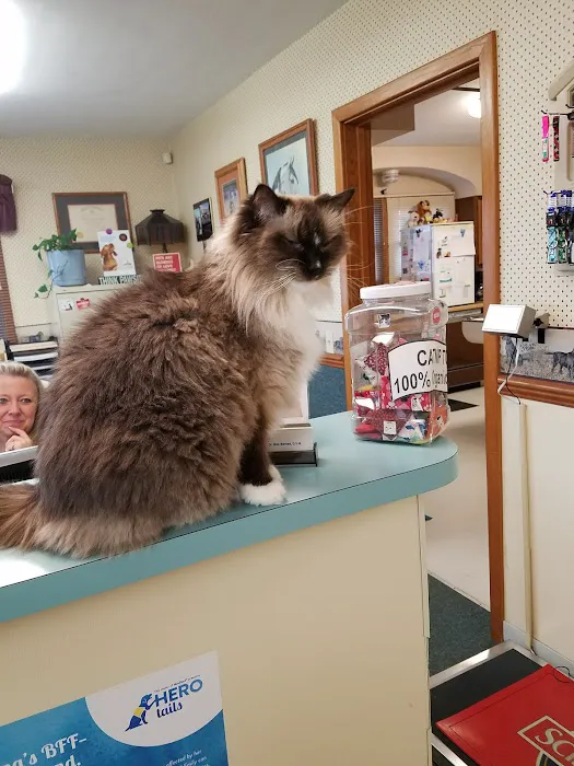 Mt. Comfort Animal Hospital Picture 10