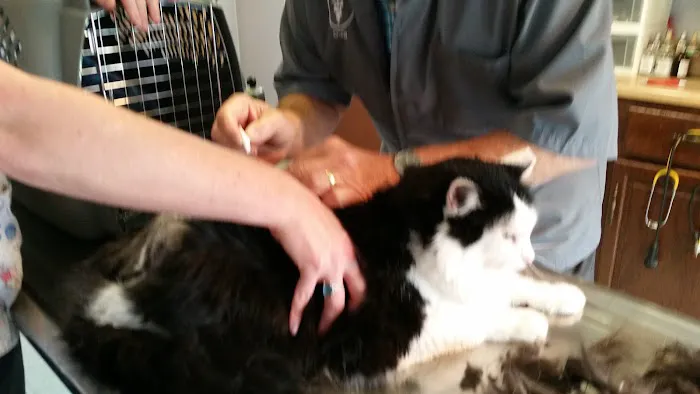 Greenfield Veterinary Clinic Picture 6