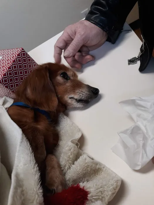 Pat's Pet Clinic Picture 6