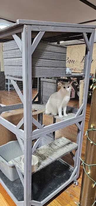 Youngblood's Natural Animal Care Center and Massage Picture 8