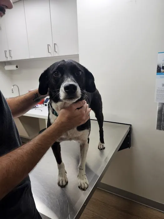 Country Acre Animal Clinic Inc Picture 5