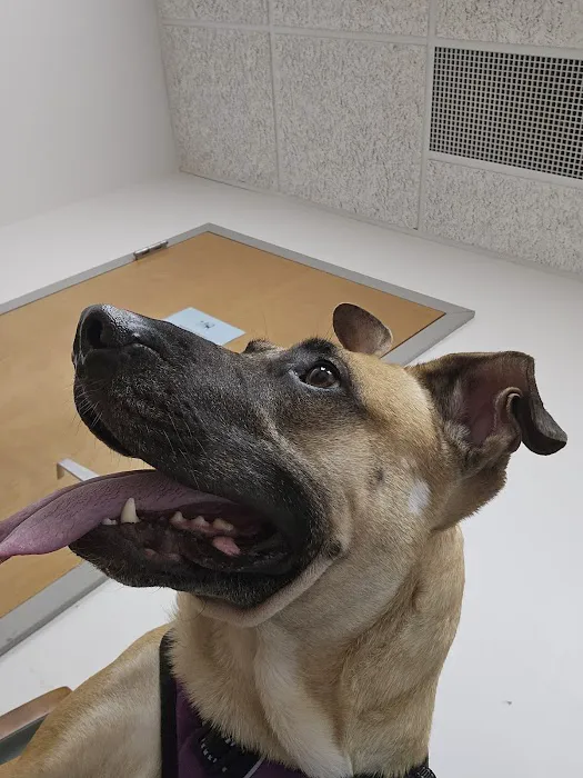 Country Acre Animal Clinic Inc Picture 2