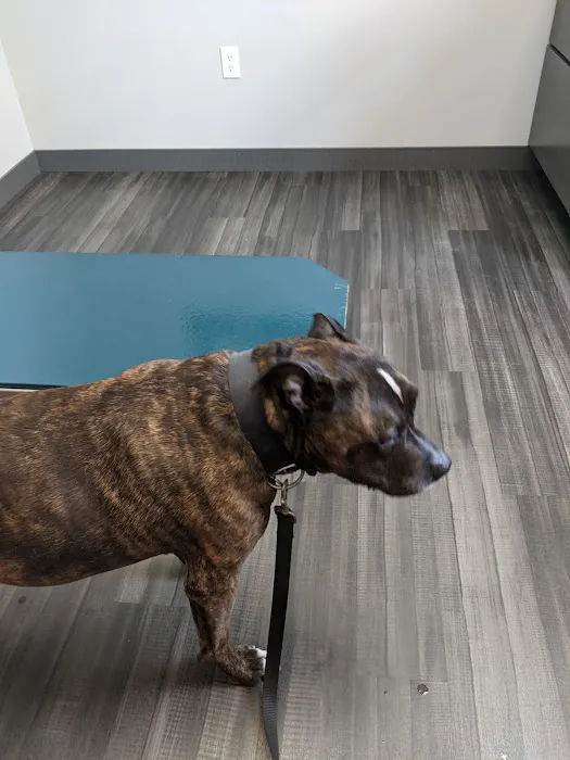 Lynn Veterinary Hospital Picture 4