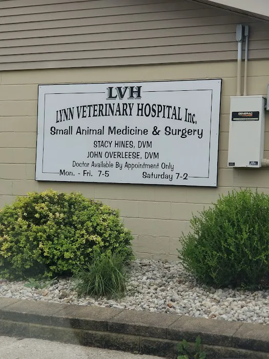 Lynn Veterinary Hospital Picture 10
