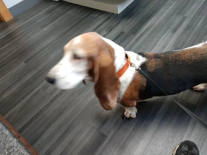 Lynn Veterinary Hospital Picture 6