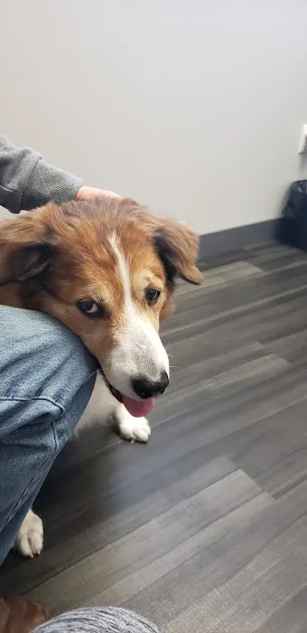 Lynn Veterinary Hospital Picture 7