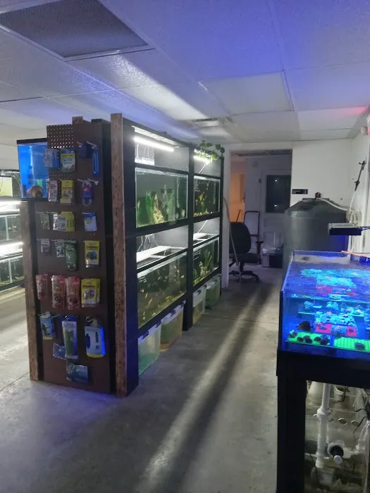 JTs Fish And Coral Picture 7