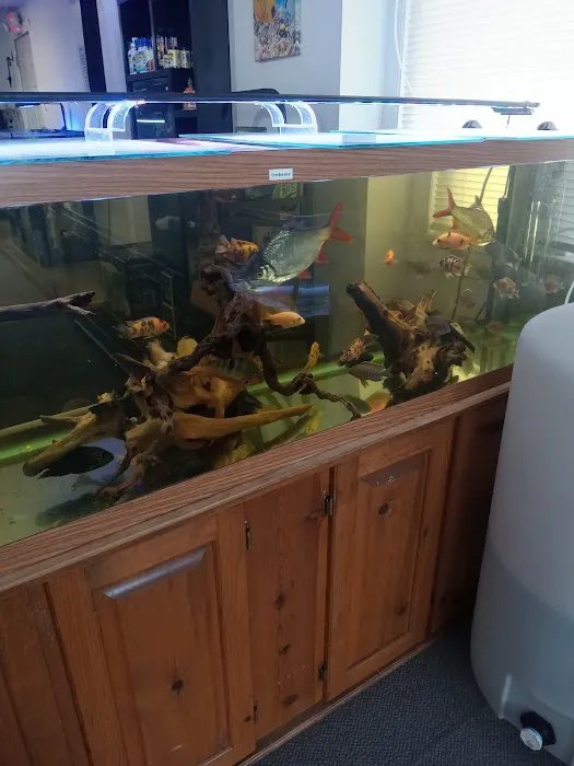 JTs Fish And Coral Picture 9