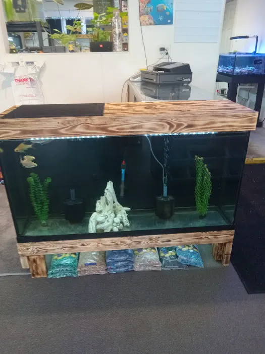 JTs Fish And Coral Picture 10