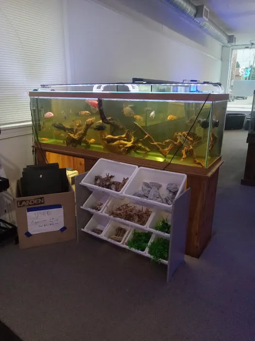 JTs Fish And Coral Picture 5