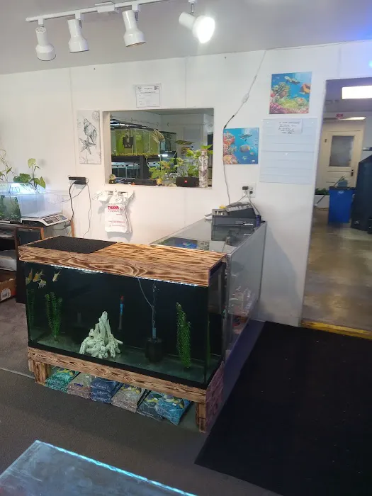 JTs Fish And Coral Picture 1