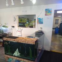 JTs Fish And Coral ico