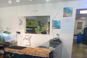Auto Service Center