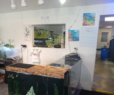 JTs Fish And Coral