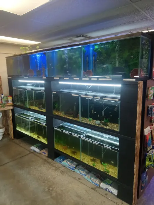 JTs Fish And Coral Picture 6
