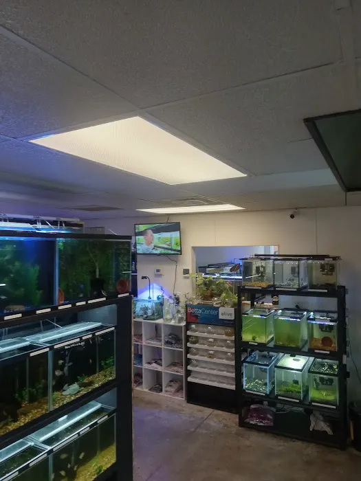 JTs Fish And Coral Picture 8