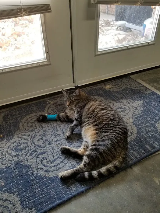 Mill Creek Veterinary Center Picture 2