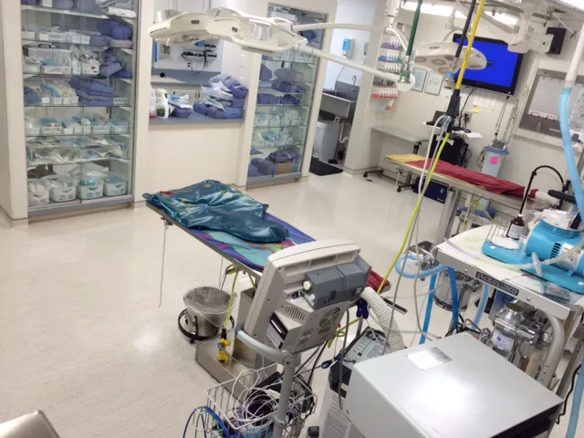 East Pines Animal Clinic Picture 1
