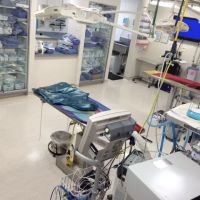 East Pines Animal Clinic ico