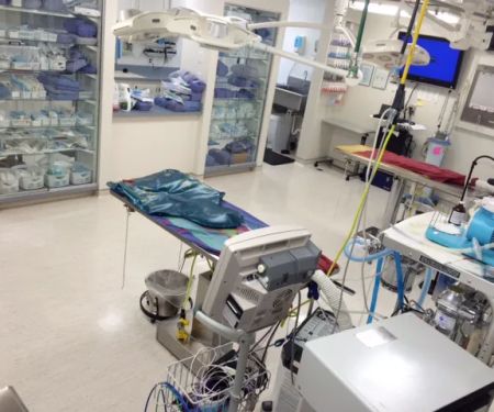 East Pines Animal Clinic