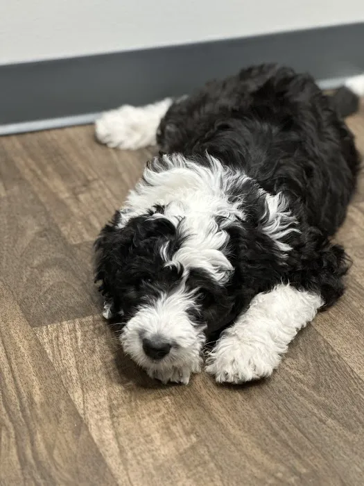 Warrick Veterinary Clinic - Boonville Picture 1