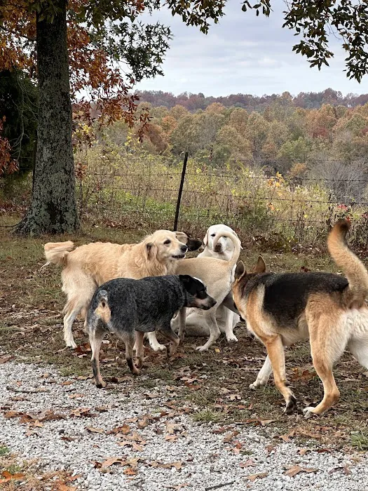 Rough River Veterinary Clinic Picture 8
