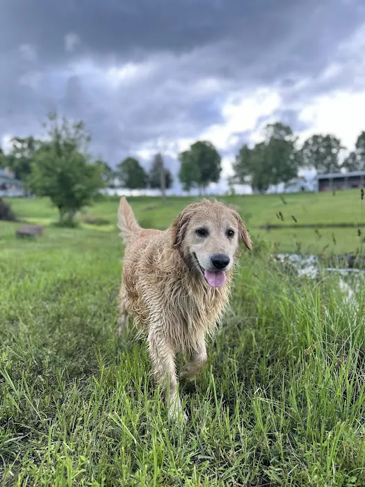 Rough River Veterinary Clinic Picture 7