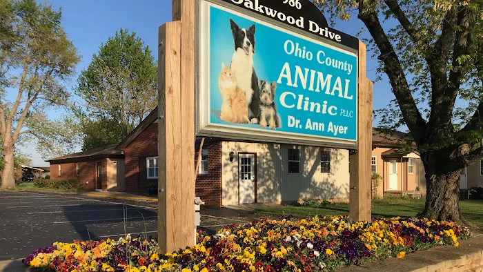 Ohio County Animal Clinic PLLC Picture 2