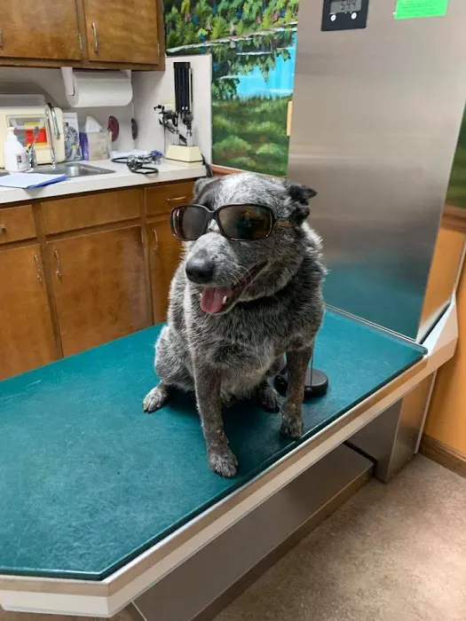 Ohio County Animal Clinic PLLC Picture 9