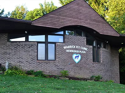 Warrick Veterinary Clinic Preventative Care Center Picture 2