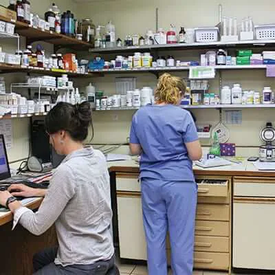 Warrick Veterinary Clinic - Newburgh Plaza Picture 4