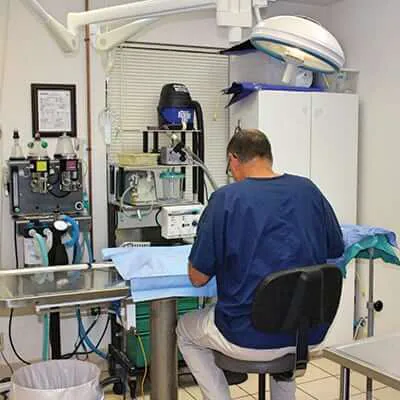 Warrick Veterinary Clinic - Newburgh Plaza Picture 2