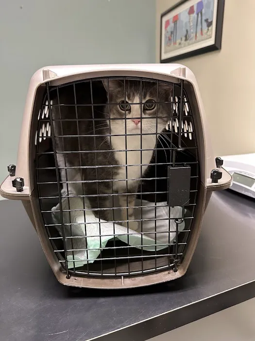 Pike Veterinary Services Picture 1
